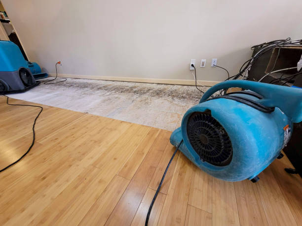Professional Flood Damage Cleanup technician working in Franklin, ME